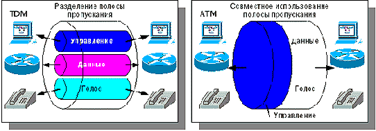 image1.gif (16289 bytes)