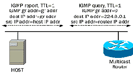    IGMP