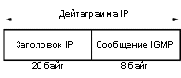  IP  